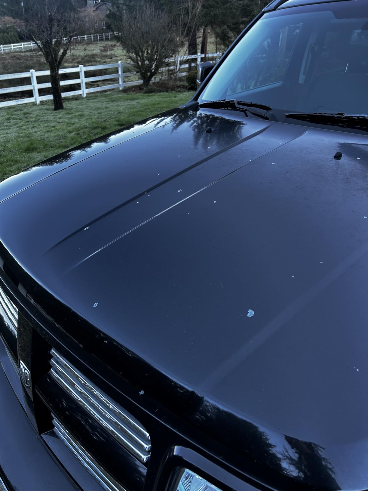 Stoner Car Care 91154 Tarminator Tar, Sap, and Asphalt Remover - Fast Acting Tar and Sap Remover for Cars - Clear Coat Safe Auto Cleaner for Paint, Chrome and Wheels - 10 oz customer photo 1