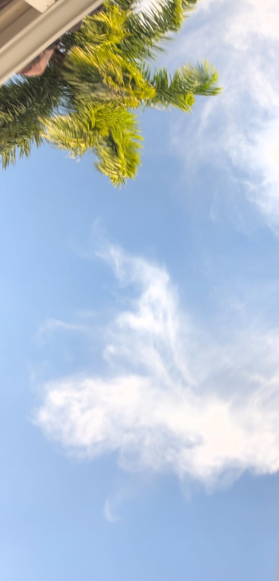 Meguiar's M716 Mirror Glaze Show Car Glaze, Exceptional Polish Restores a Deep Wet Shine - 16 Oz Bottle (Packaging May Vary) customer photo 1