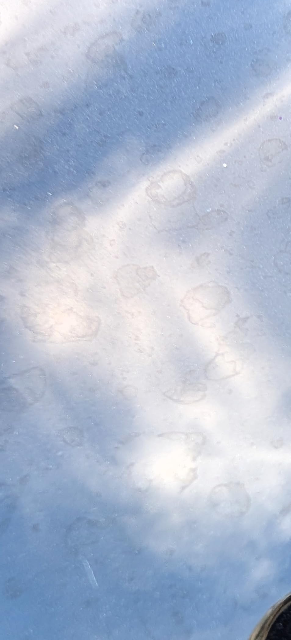 Meguiar's M716 Mirror Glaze Show Car Glaze, Exceptional Polish Restores a Deep Wet Shine - 16 Oz Bottle (Packaging May Vary) customer photo 2