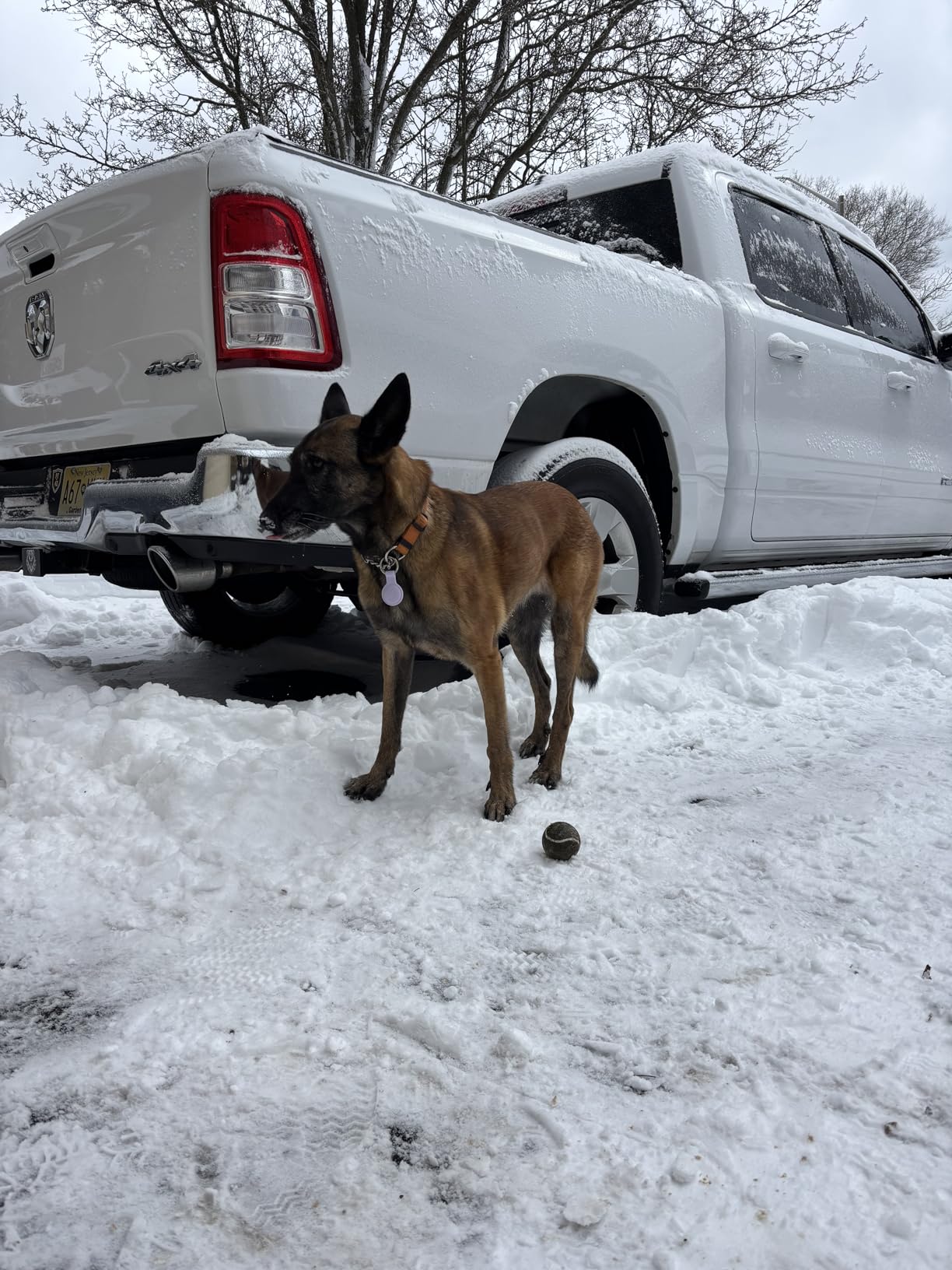 Lucas Oil 10003 Fuel Treatment - 1 Quart customer photo 1