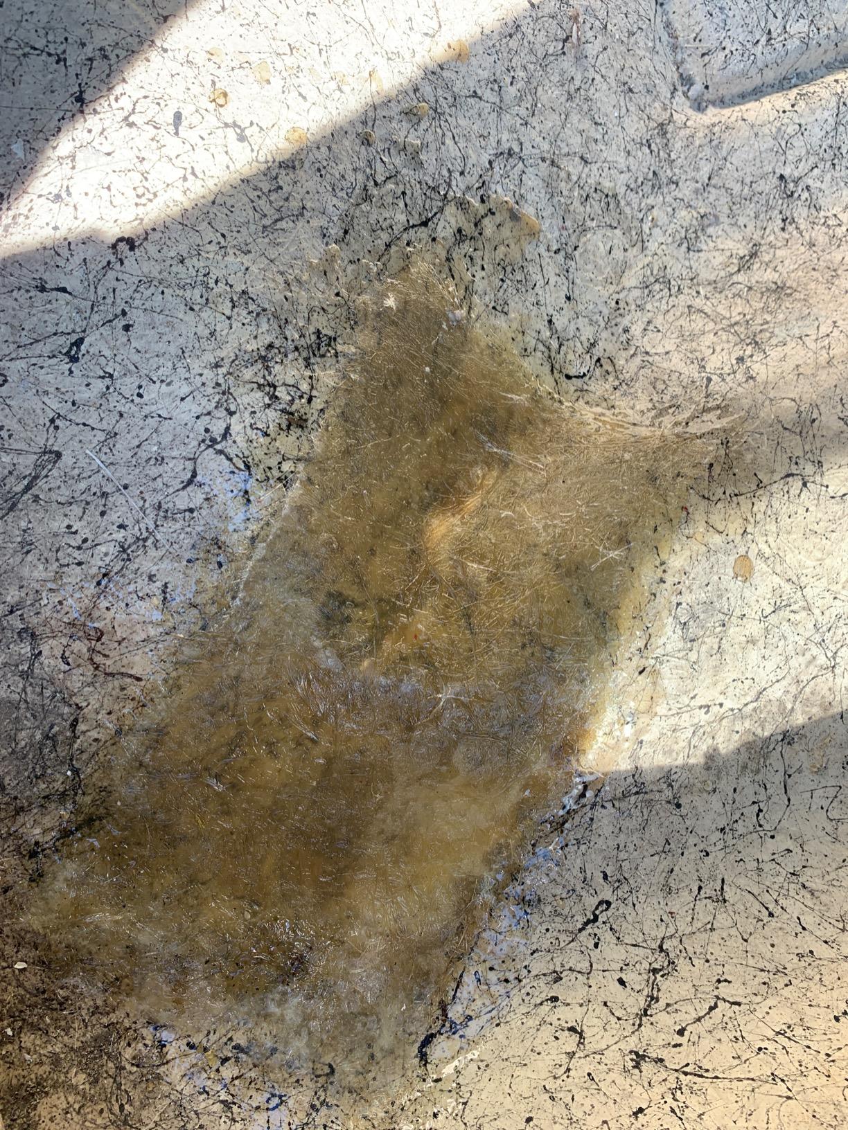 Bondo Fiberglass Resin Repair Kit, 00422, 0.9 Quart customer photo 1