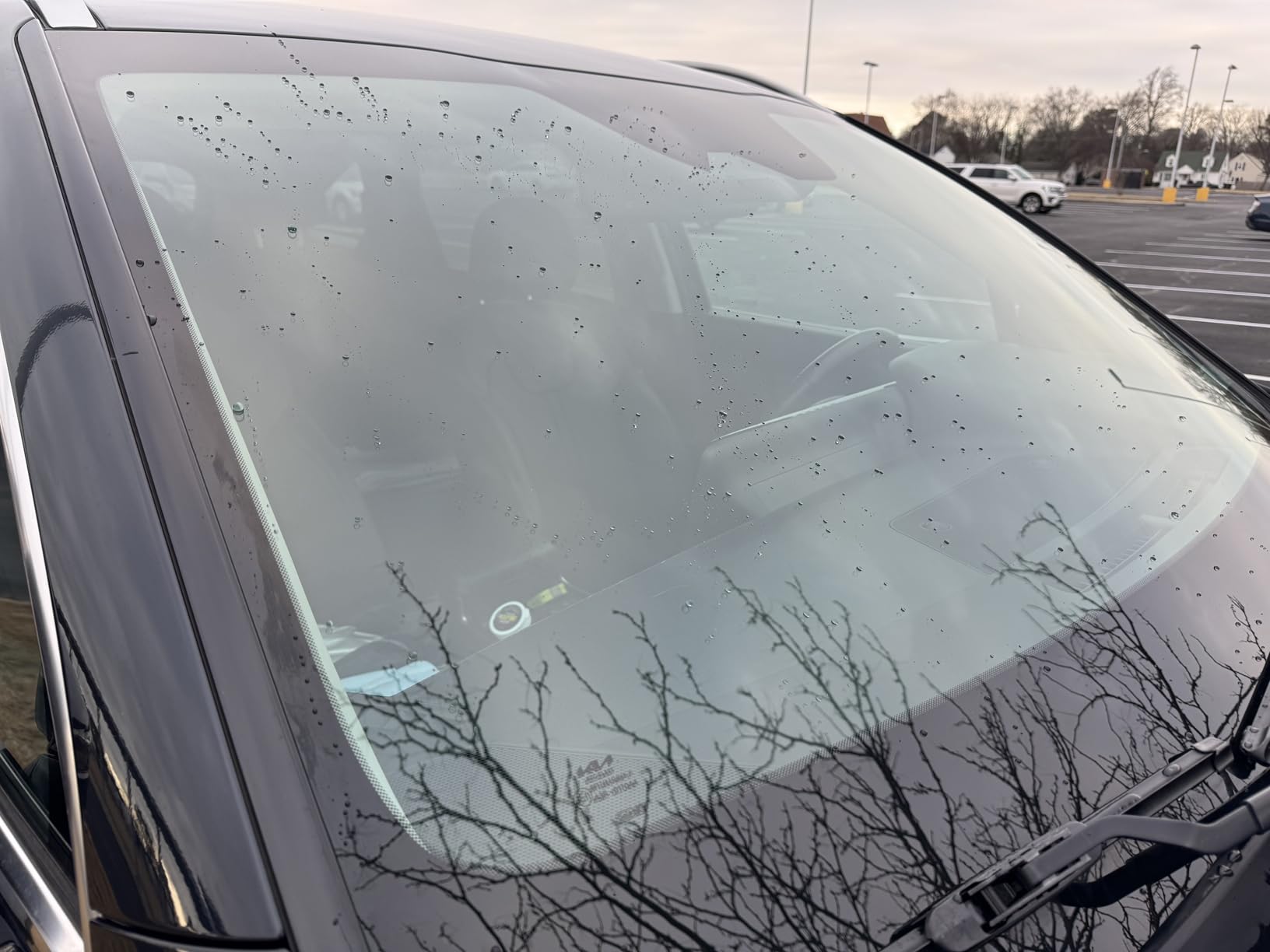 Rain-X 800002250 Glass Treatment Trigger, 16 Fl Oz - Exterior Glass Treatment to Dramatically Improve Wet Weather Driving Visibility During All Weather Conditions customer photo 2