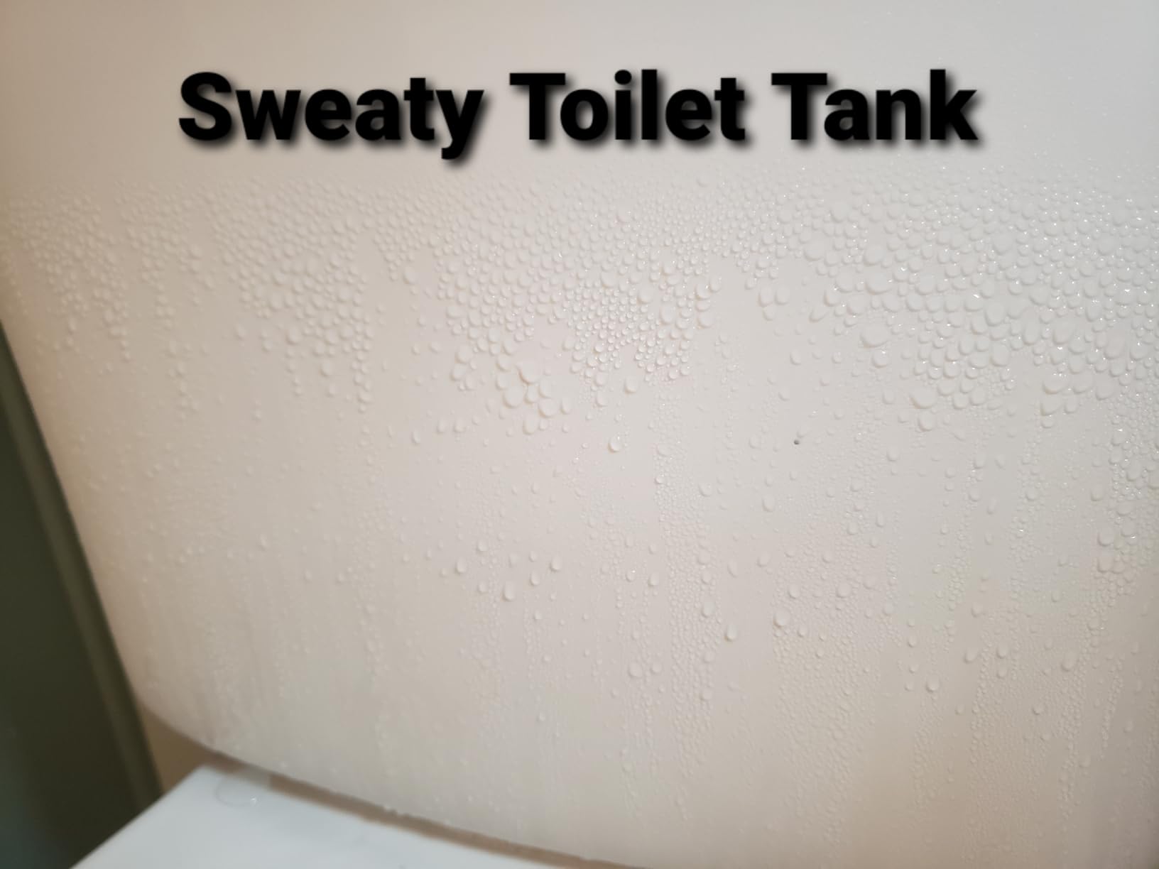 Eva-Dry Wireless Mini Dehumidifier, White (E-333) customer photo 1