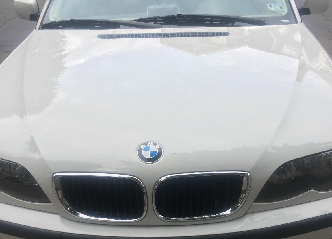 BMW Genuine Hood Roundel Emblem with 2 Grommets for All Model and for Trunk of E32/e38 7-series From 86 - 01, E34 5-series From 88 - 95, E36 3-series From 90 - 99 customer photo 2