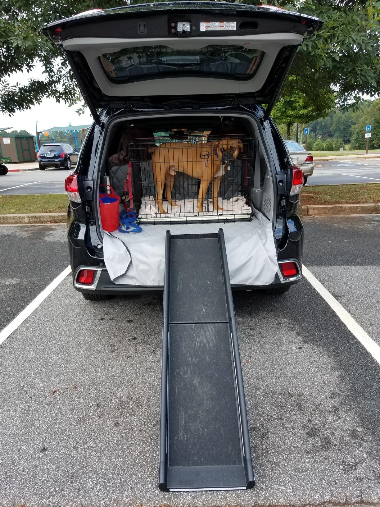 PetSafe Happy Ride Folding Dog Ramp - SUV Compatible Lightweight Pet Ramp with High Traction Walking Surface - Joint Strain Protection - Secure Foldable Design for Compact Storage customer photo 2