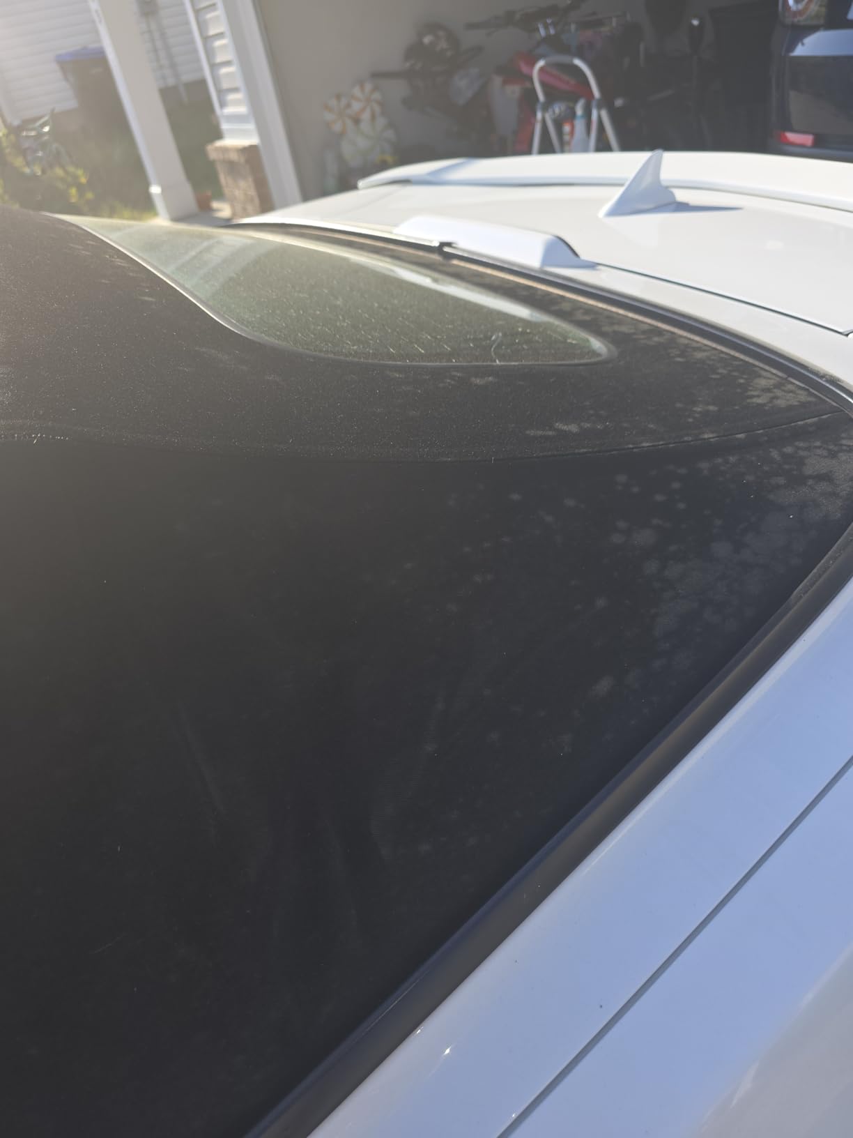 Forever Car Care Products FB813 Black Black Top Gel and Foam Applicator customer photo 1