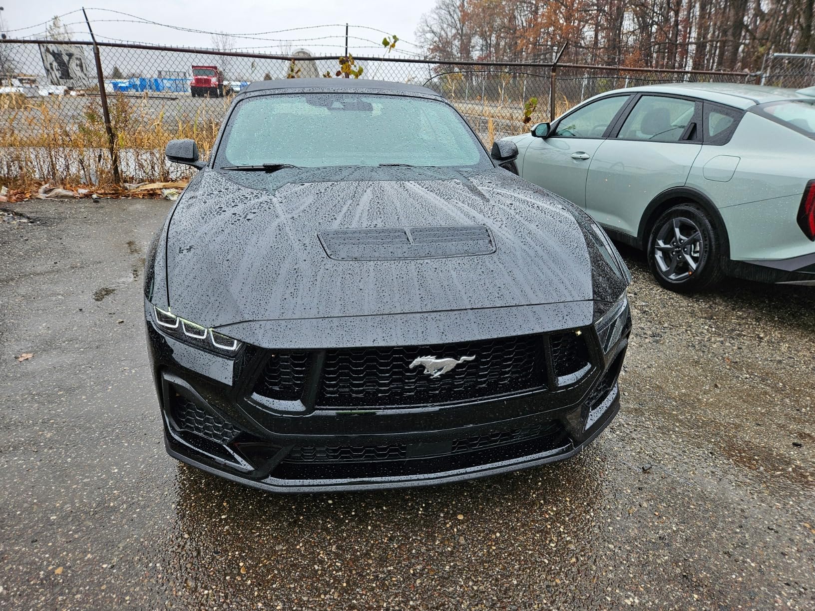 Collinite 476 Super Doublecoat Wax-Carnauba + Polymer Sealant - High Gloss Shine + Ultra Durable Hydrophobic Beading & Long-Lasting Paint Protection for Cars, Trucks, and Motorcycles (9 fl oz) customer photo 2