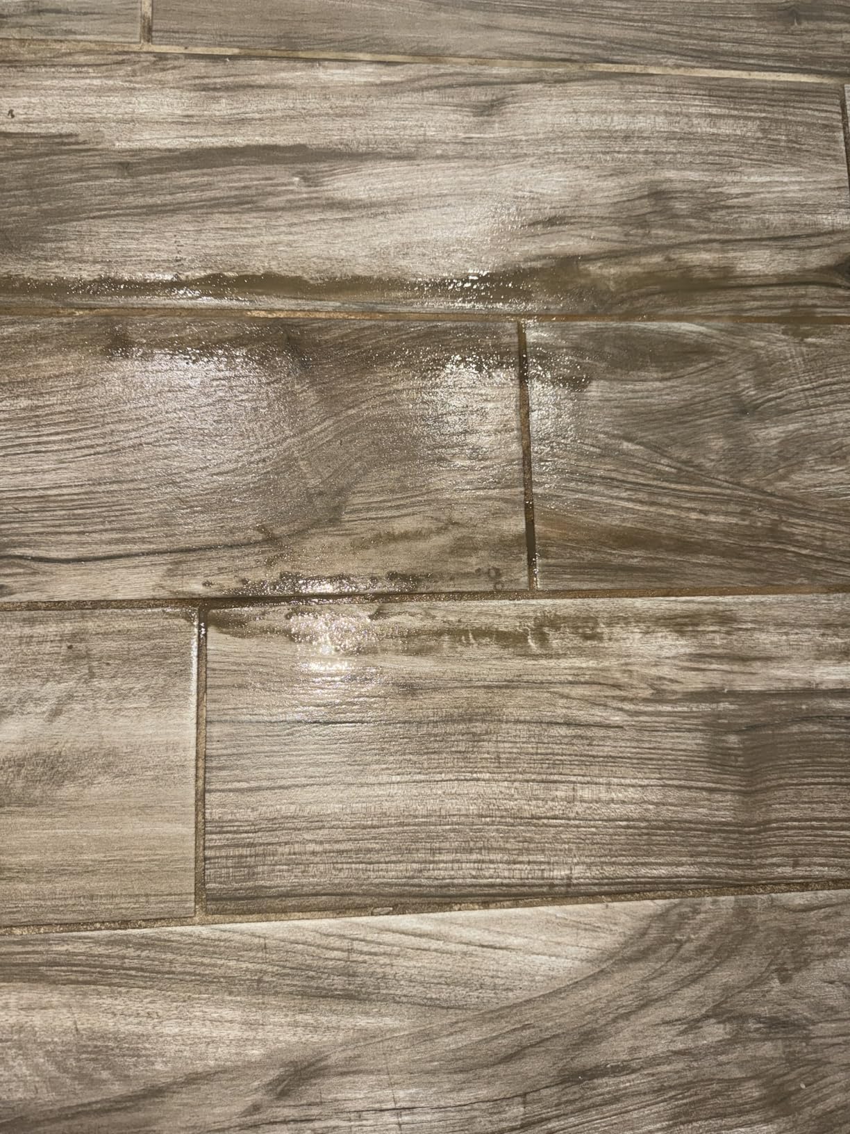 Wagner Spraytech 0282014 915e On-Demand Steam Cleaner & Wallpaper Removal, Multipurpose Power Steamer, 18 Attachments Included (Some Pieces Included in Storage Compartment) For Floor customer photo 1