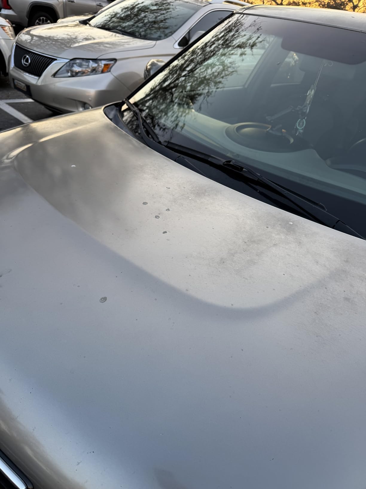 Chemical Guys Bug and Tar Remover Fast Acting Car Wash - Heavy Duty Cleaner for Bugs, Tar, Grime, Tree Sap & Bird Droppings - Safe for Car Paint, Glass, Chrome, Plastic, All Exterior Surfaces - 16 oz customer photo 1