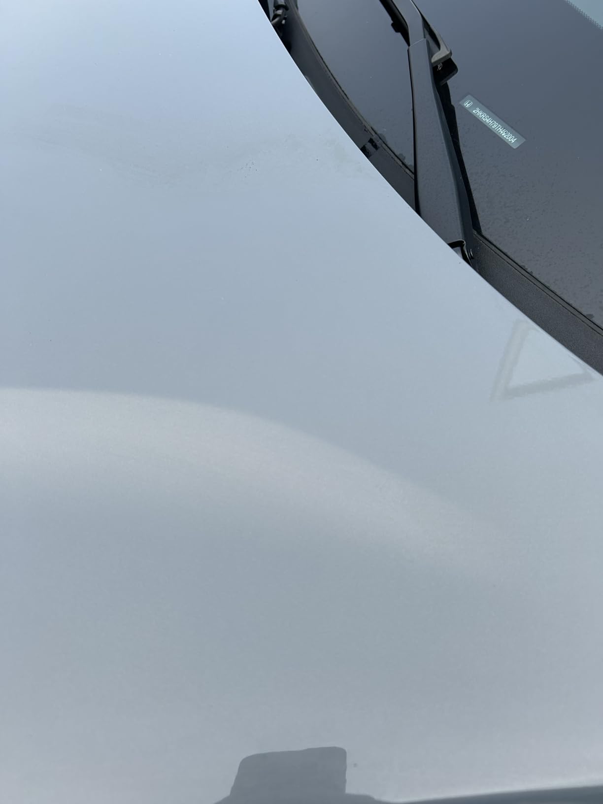 3D Bug Remover - All Purpose Exterior Cleaner & Degreaser to Wipe Away Bugs on Plastic, Rubber, Metal, Chrome, Aluminum, Windows & Mirrors, Suitable for use on Car Paint, Wax & Clear Coat customer photo 2