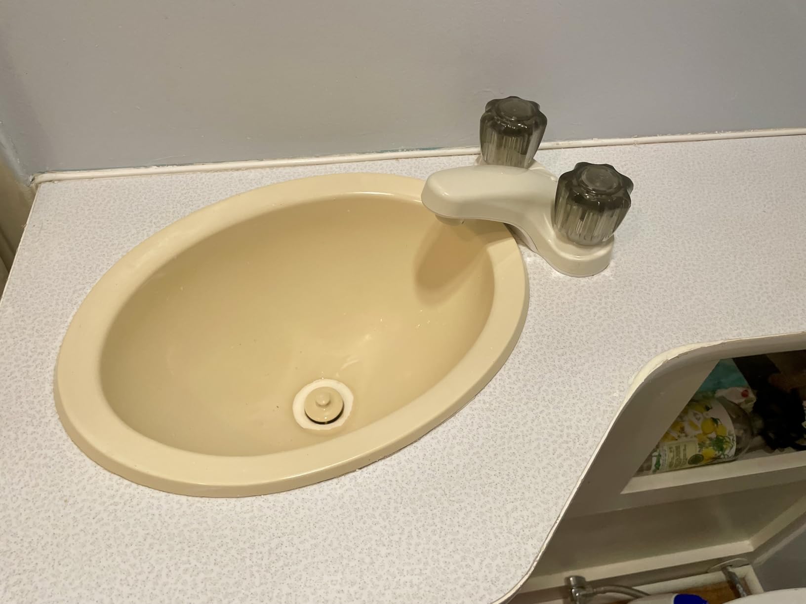 Dura Faucet DF-PL700S-BQ RV Bathroom Faucet with Smoked Acrylic Knobs (Bisque Parchment) customer photo 2