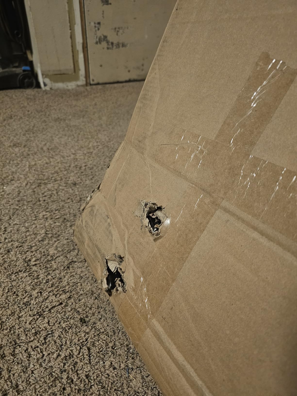 Reese 30119 Fifth Wheel Hitch 20,000 lbs. Capacity, Dual Jaw, Complete System customer photo 1