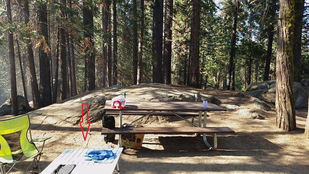 Coleman Outdoor Folding Table, Sturdy Aluminum Camping Table with Snap-Together Design, Seats 4 & Carry Bag Included customer photo 2