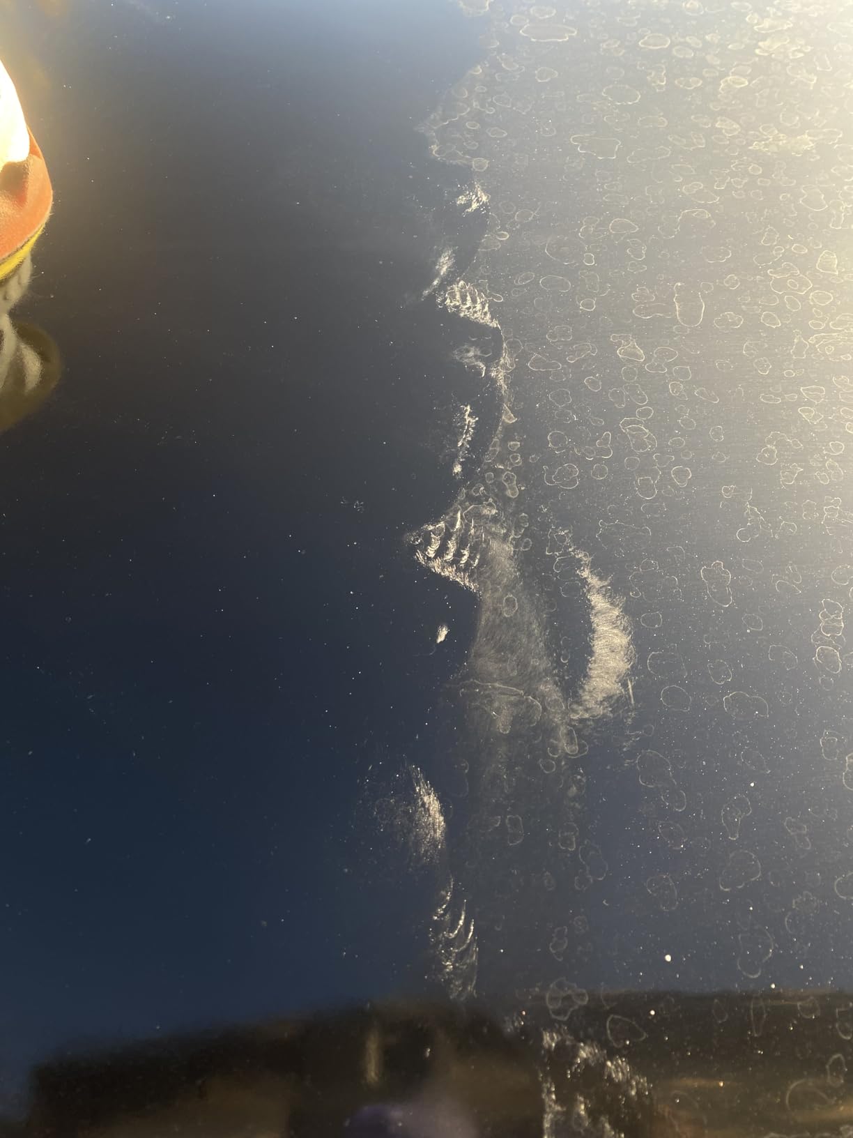 Meguiar's Water Spot Remover, Heavy Duty Water Spot Remover for Cars, Remove Water Stains and Polish Glossy Paint with a Versatile Clear Coat Safe Formula, 16 oz customer photo 1