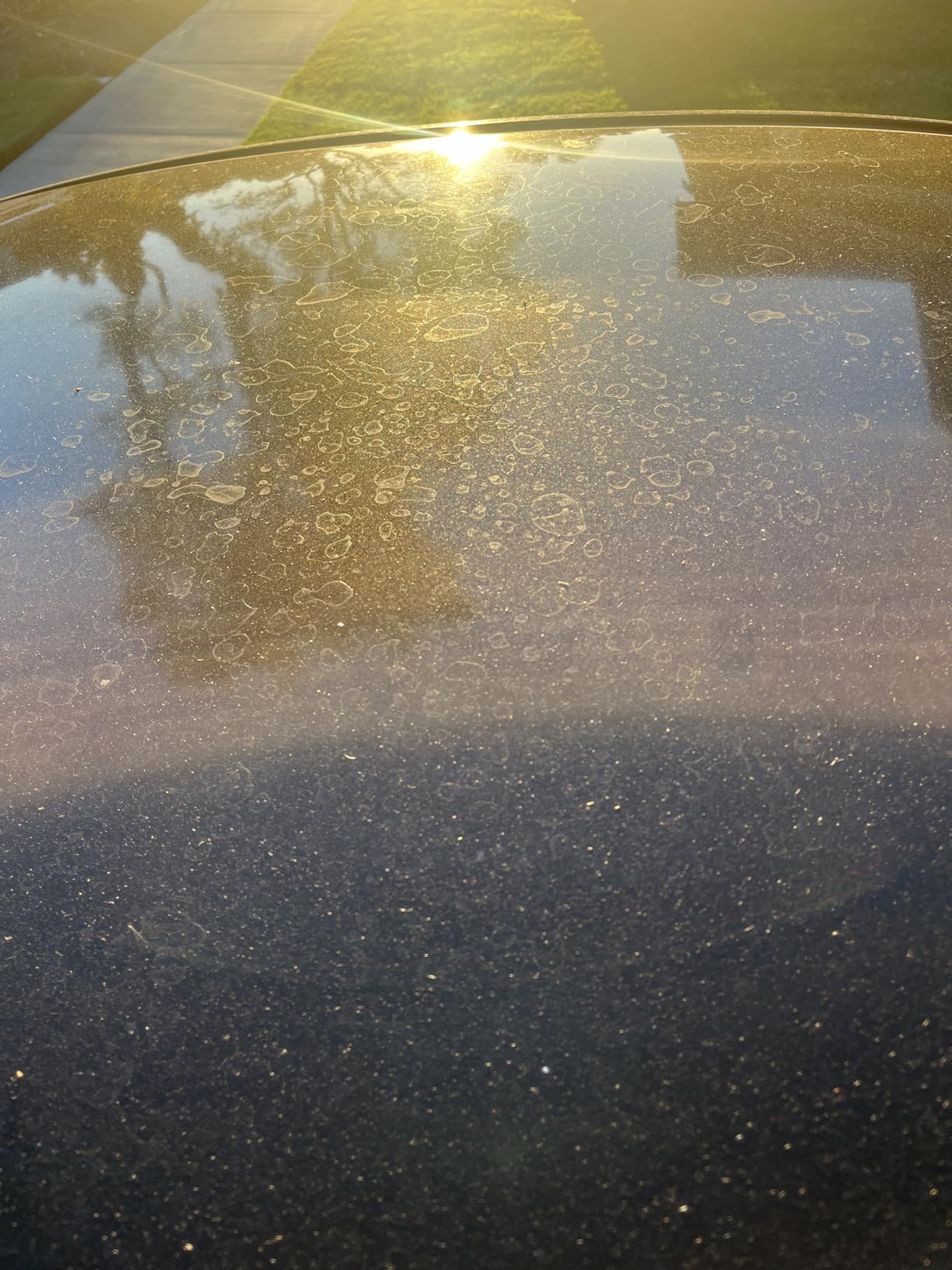 Meguiar's Water Spot Remover, Heavy Duty Water Spot Remover for Cars, Remove Water Stains and Polish Glossy Paint with a Versatile Clear Coat Safe Formula, 16 oz customer photo 2