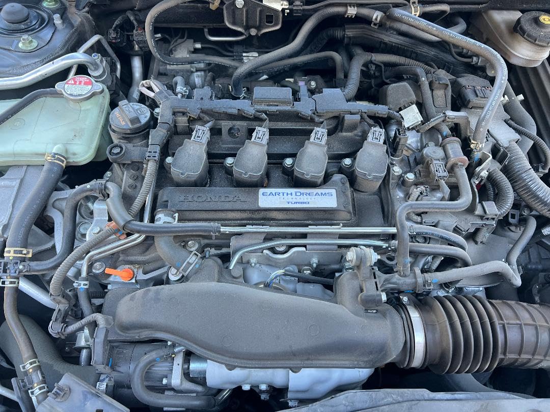 Chemical Guys Signature Series Orange Degreaser Spray - Heavy Duty All Purpose Cleaner for Engines, Tires, Undercarriages, Tools and More, Professional Strength, Breaks Down Grease, Oil & Grime, 16 oz customer photo 2