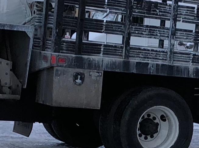 Buyers Products 1702660 Polished Stainless Steel Underbody Truck Tool Box, 18 x 18 x 48 Inch, Locking T-Handle Compression Latch, 16 Ga Stainless, Underbed or Flat Mount Storage Box customer photo 1