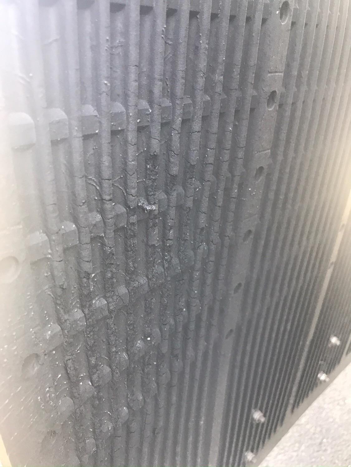 Rock Tamers 00110 - 2.5