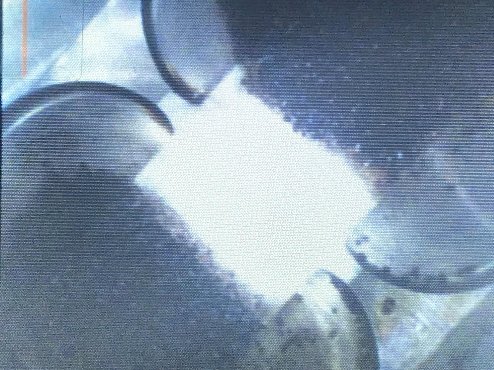 Gumout 510011 Multi-System Tune-Up, Fuel Stabilizer Injector Cleaner & Gas Treatment, 16 oz, Full Fuel System Cleaner - Improves Engine Performance, Cleans & Removes Deposits and Residue customer photo 2