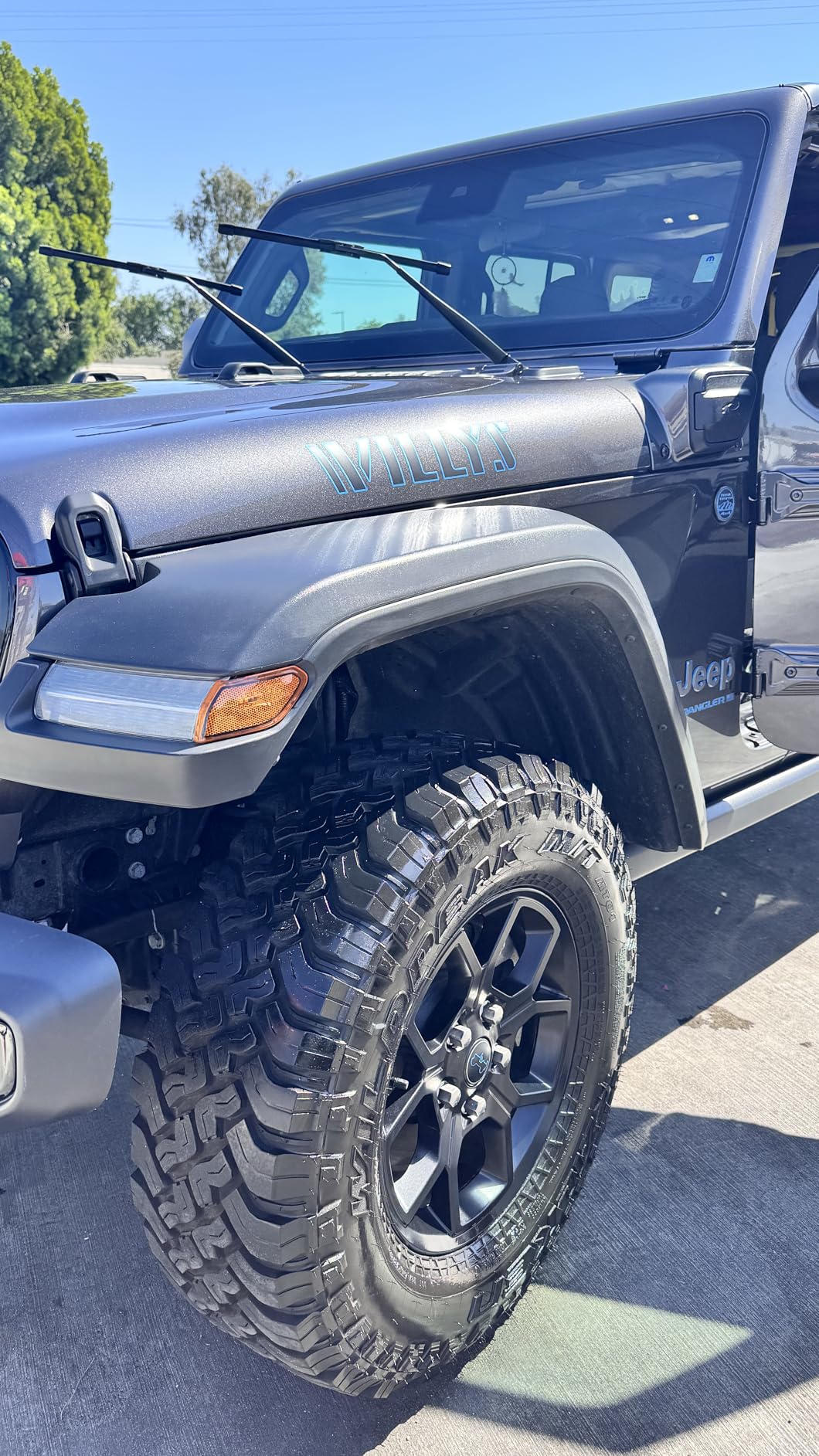 Griot's Garage Black Shine Tire and Trim Coating, Water-Resistant Dressing, Provides a High-Gloss Finish, Rain, and UV Protection, 10938, 15oz customer photo 1