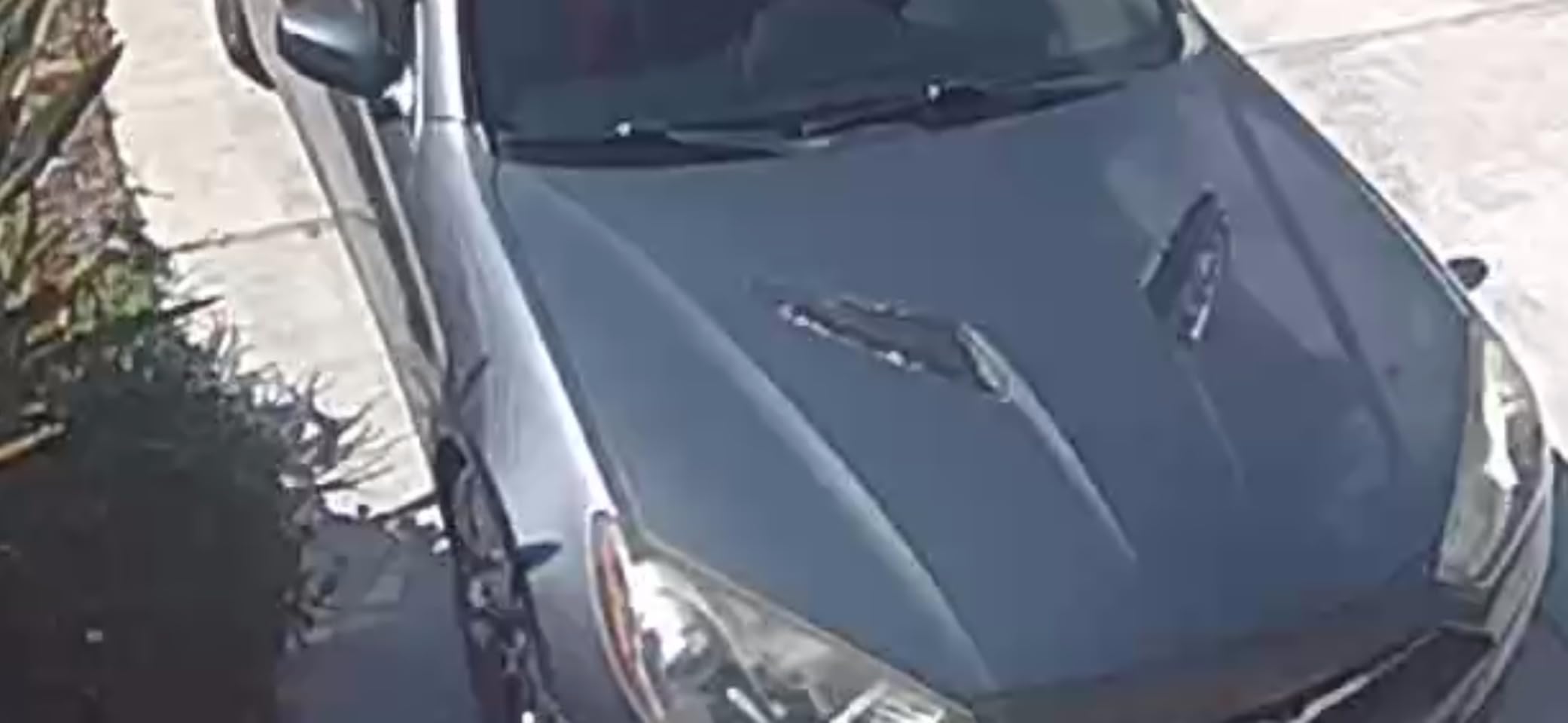 Hyundai Motors OEM Genuine Front Bonnet Hood Garnish Vent 2-pc Set for 2012~2015 Hyundai Genesis Coupe customer photo 1