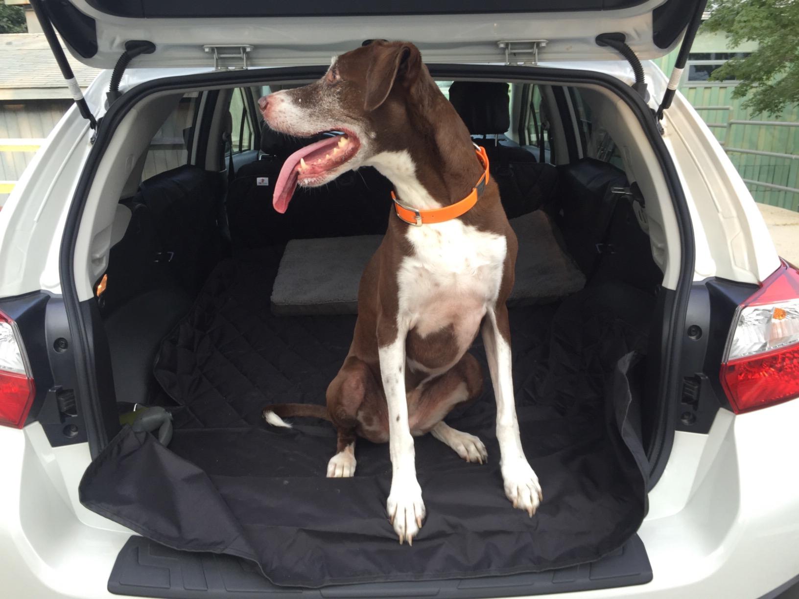 4Knines SUV Cargo Liner for Dogs - Dog Trunk Cover - Heavy-Duty, Waterproof Pet Seat Protector - Durable Cargo Liners for Dogs - USA-Based Company - Large (Black) customer photo 2