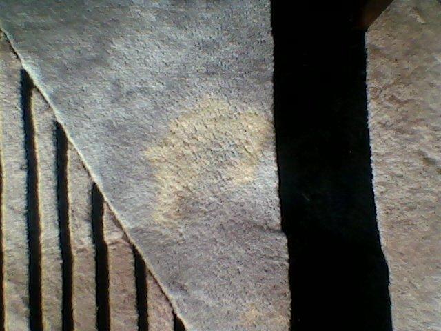 Detail King Hi-Tech Black Vinyl Plastic & Carpet Aerosol Dye customer photo 2