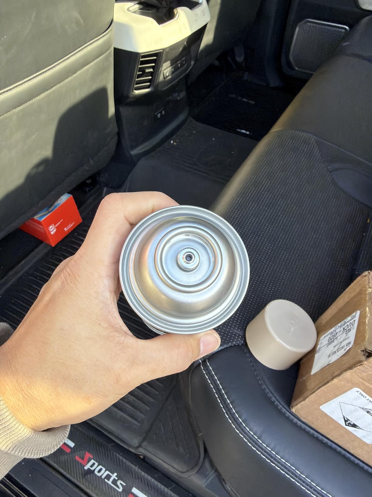 Detail King Hi-Tech Beige Vinyl Plastic & Carpet Aerosol Dye customer photo 1