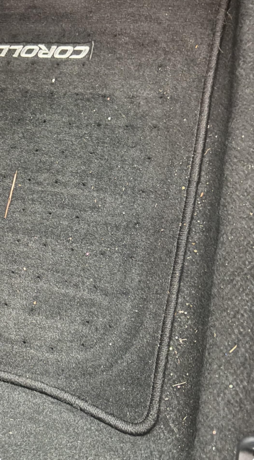 Armor All AA255W Wet/Dry Utility Vac 2.5 Gallon, 2.5-Gallon,120 Volts (AC), Orange/Black customer photo 2