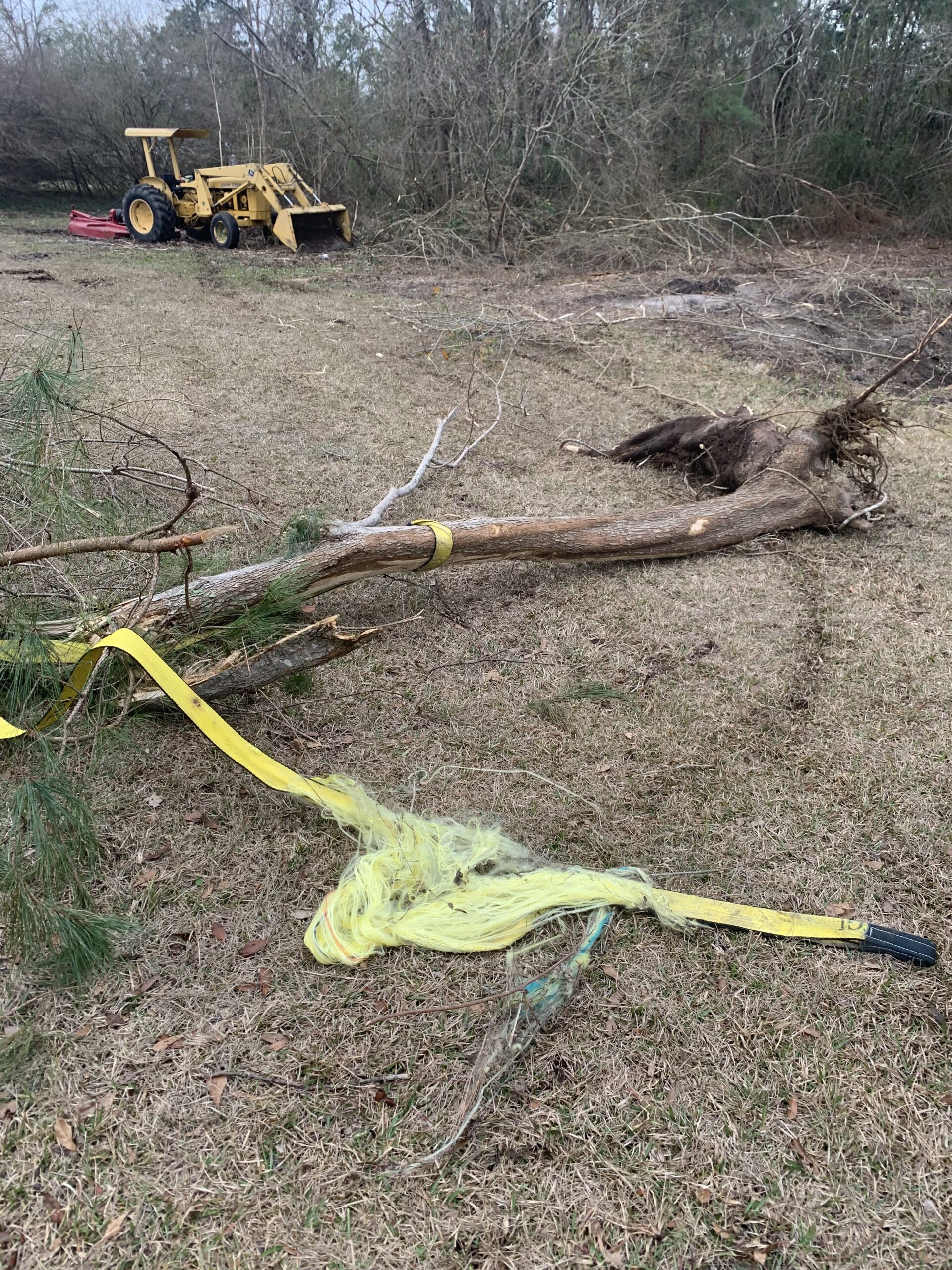 TGL Heavy Duty Tow Strap with Loops, 3