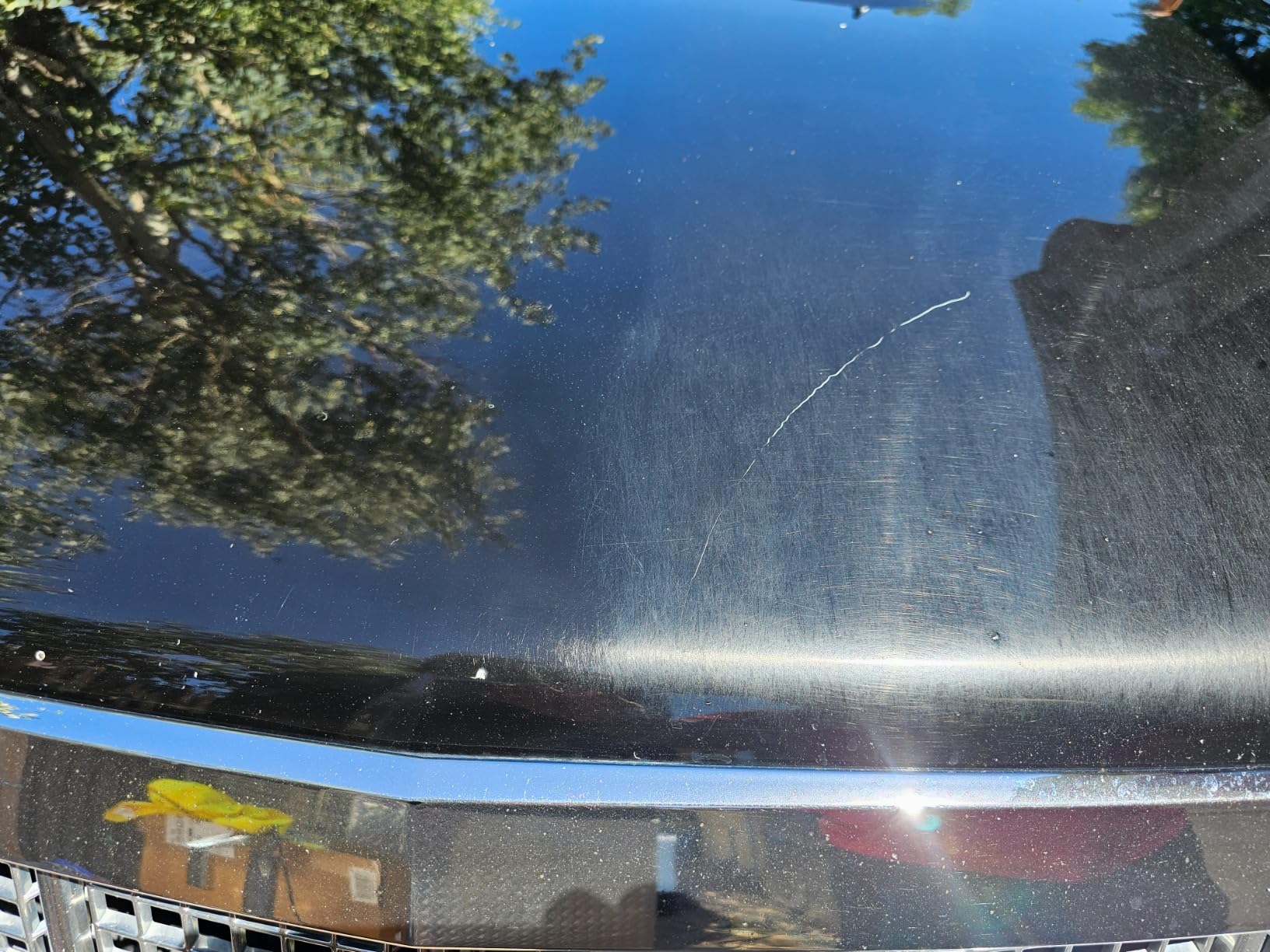 Chemical Guys TORQX Dual Action Random Orbital Polisher for Cars - Professional Car Buffer for Trucks and SUVs - 700W Motor, 8mm Orbit, Lightweight 4.7 lb Design, Paint Correction customer photo 1