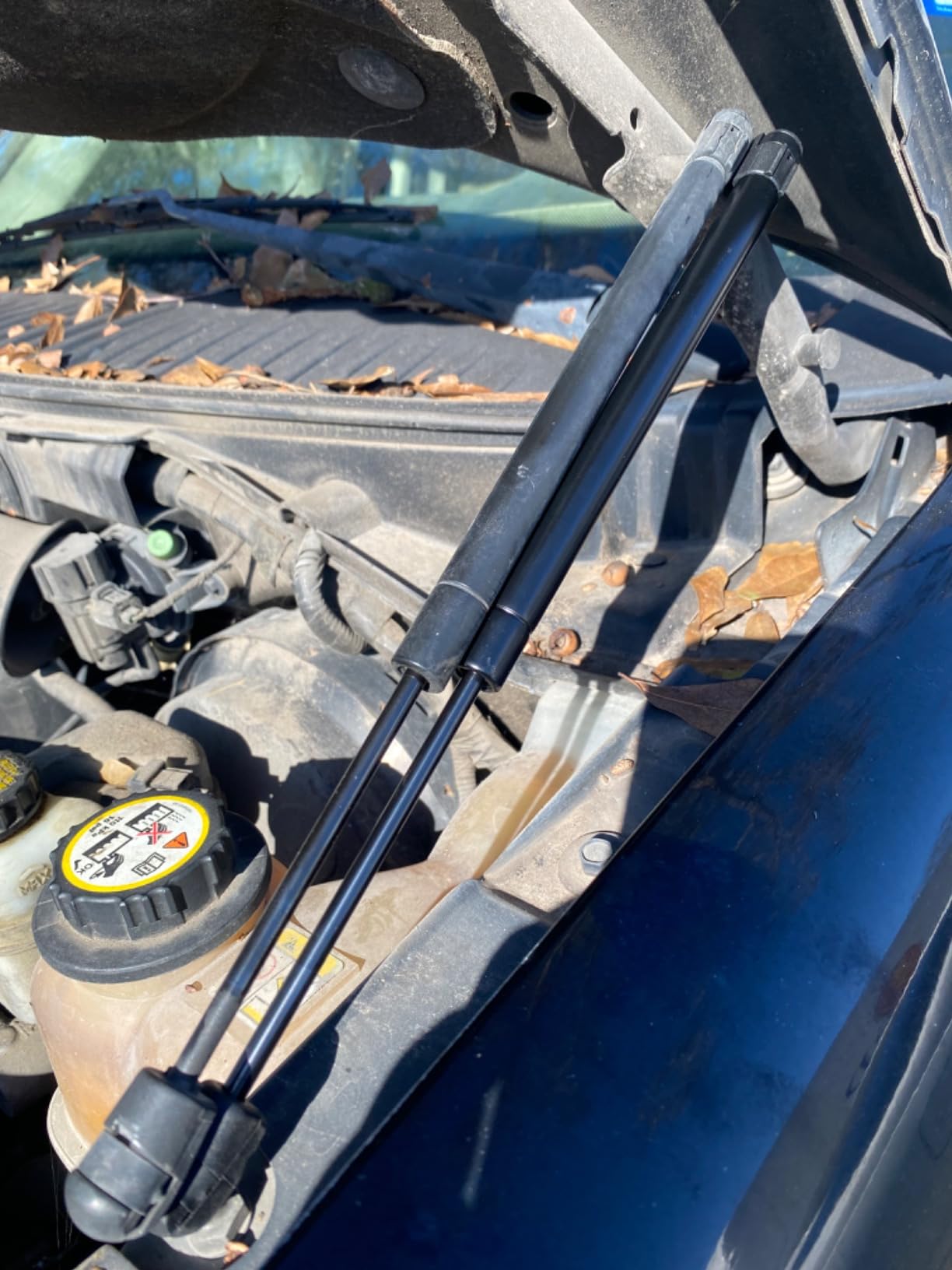 ECCPP 4478 SG404016 Lift Supports Front Hood Struts Gas Springs for Ford Expedition 1997-2006, F-150 1997-2004, F-250 1995, 1997-2004 customer photo 1