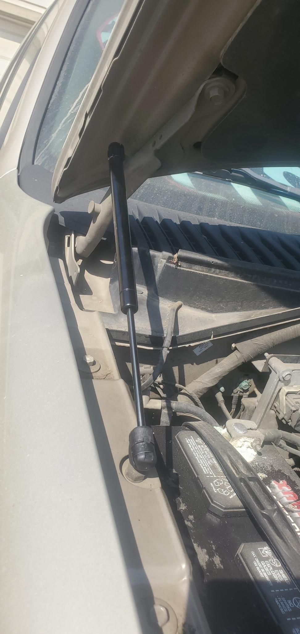 ECCPP 4478 SG404016 Lift Supports Front Hood Struts Gas Springs for Ford Expedition 1997-2006, F-150 1997-2004, F-250 1995, 1997-2004 customer photo 2