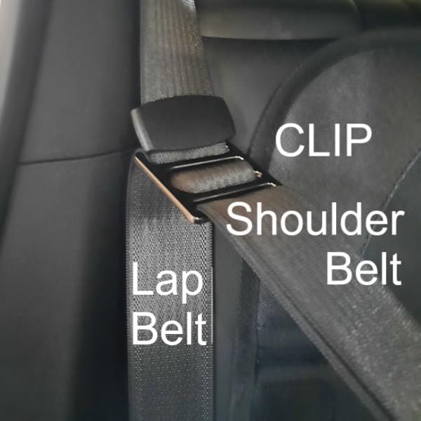 EzyDog Drive Dog Car Harness - Crash Tested and Certified (US-FMVSS 213) Dog Seat Belt Harness for Safe Travel, Adjustable with Padded Comfort (Large) customer photo 1