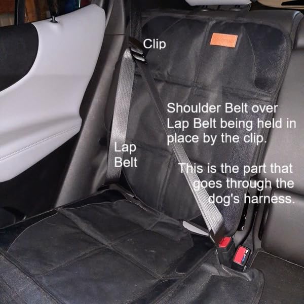 EzyDog Drive Dog Car Harness - Crash Tested and Certified (US-FMVSS 213) Dog Seat Belt Harness for Safe Travel, Adjustable with Padded Comfort (Large) customer photo 2