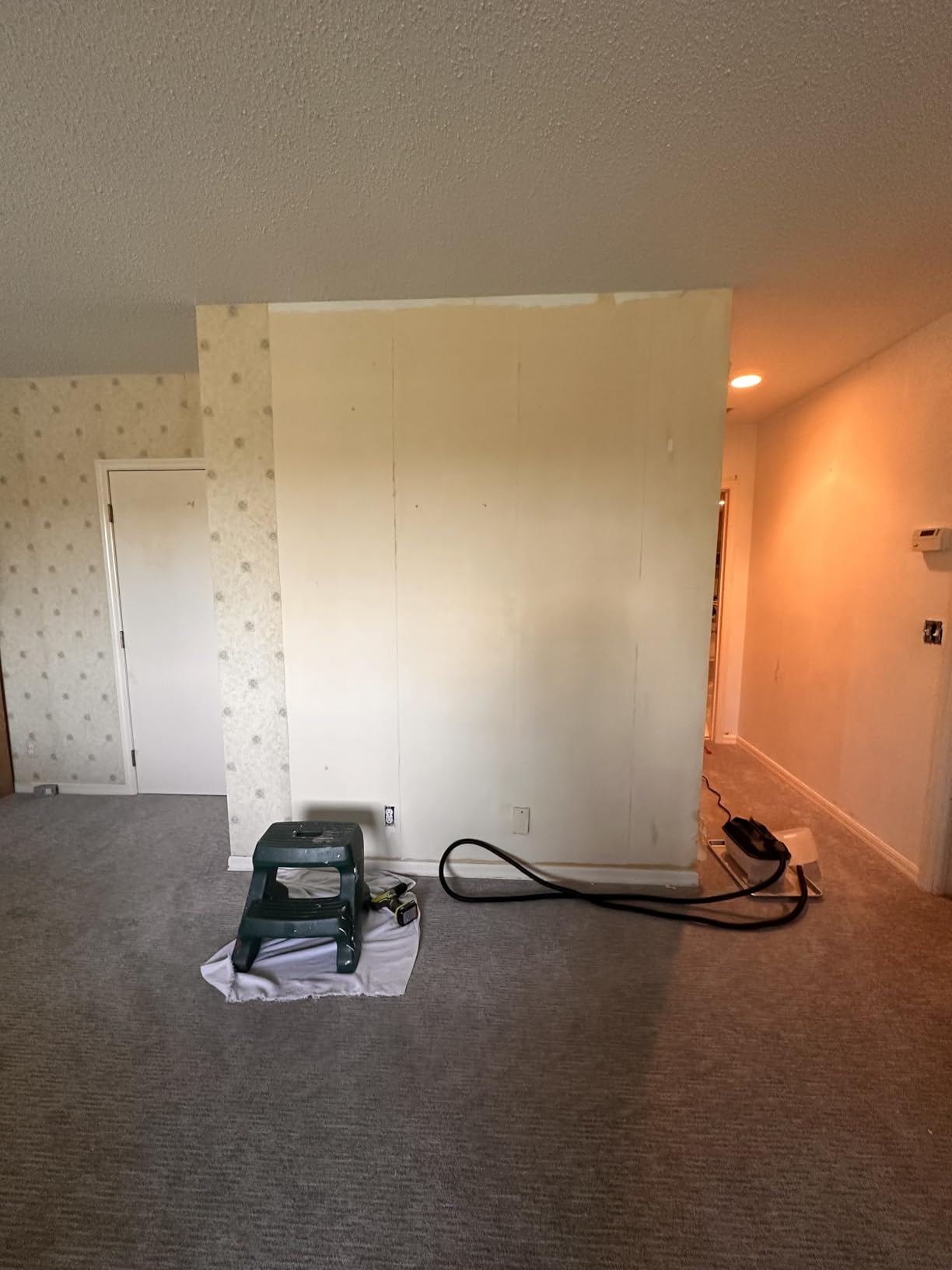 Wagner Spraytech 0282036 715 Power, Chemical Free Remover, Two Steam Plates Included, Long Run Time, Lightweight Design, Wallpaper Steamer customer photo 1