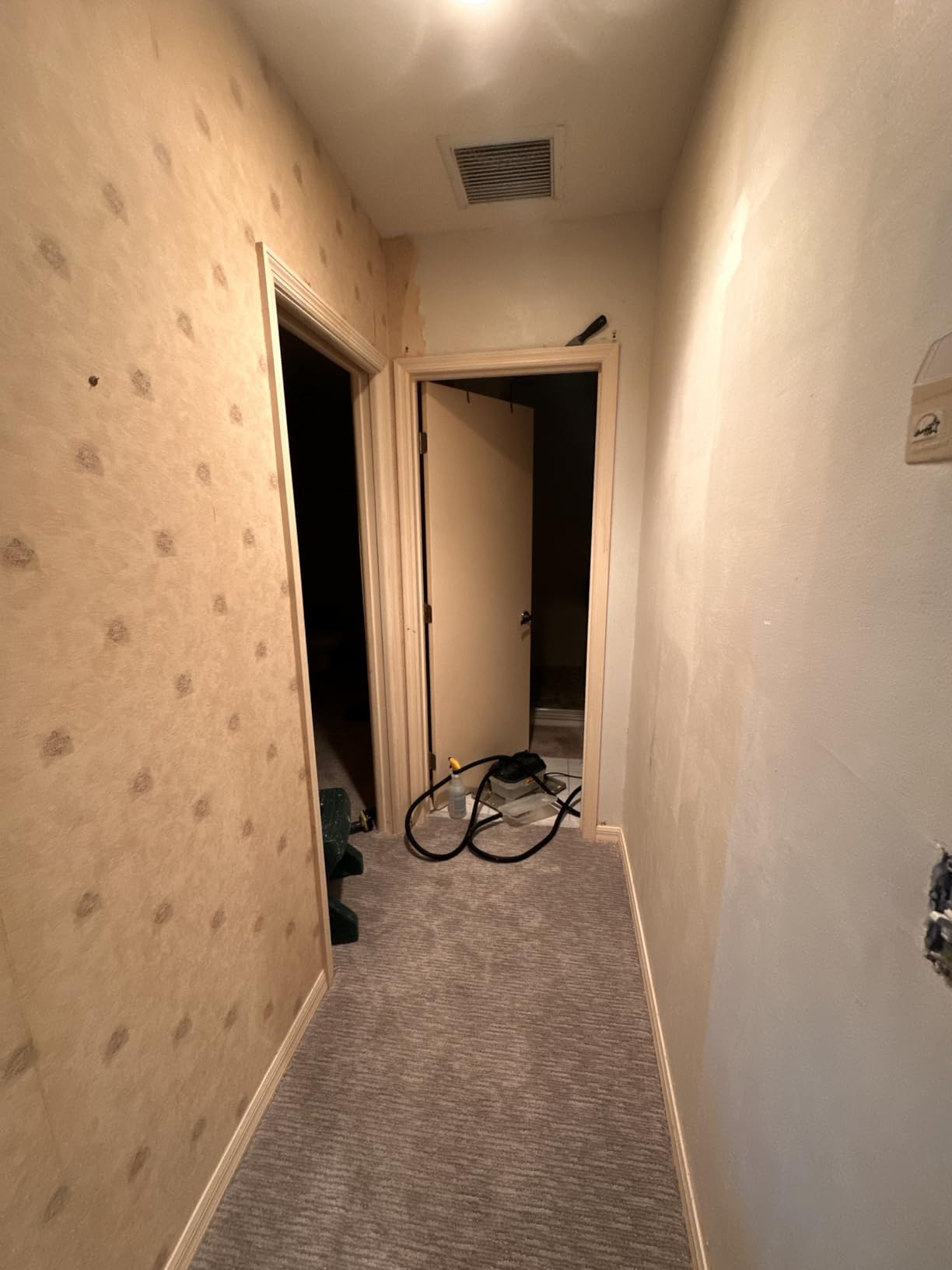 Wagner Spraytech 0282036 715 Power, Chemical Free Remover, Two Steam Plates Included, Long Run Time, Lightweight Design, Wallpaper Steamer customer photo 2