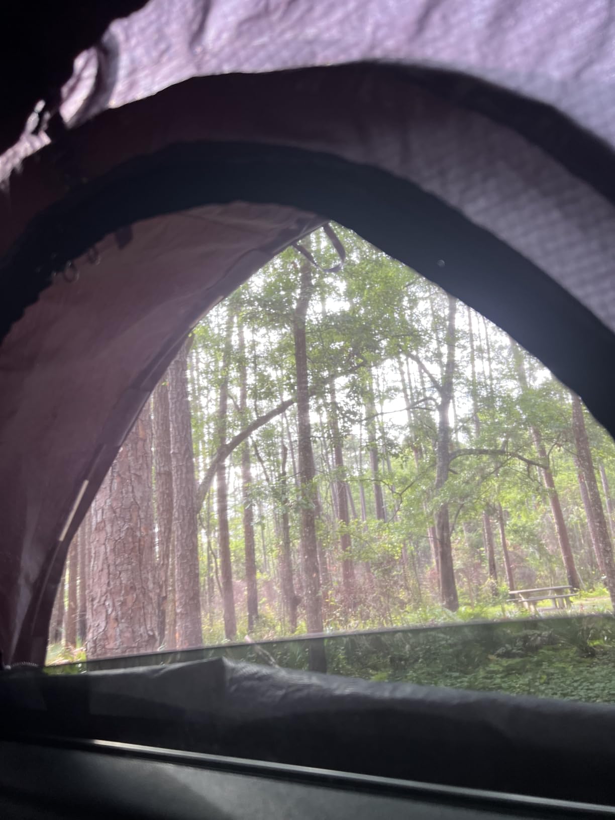 ROADIE The OVERNIGHTER SUV Window Tent with Bug Screen and Retractable Awning - Great for Camping in an SUV (Patented) customer photo 1