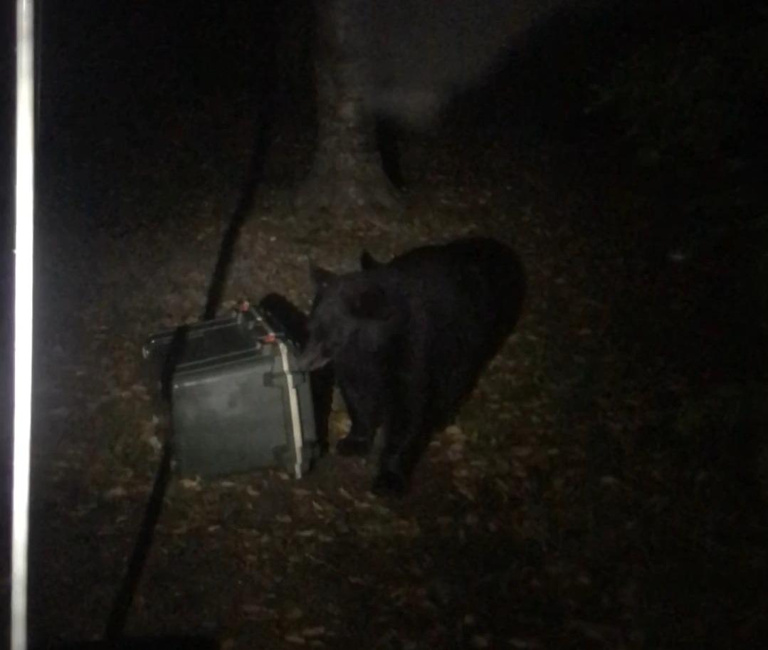 Pelican 70 Quart Elite Cooler customer photo 1