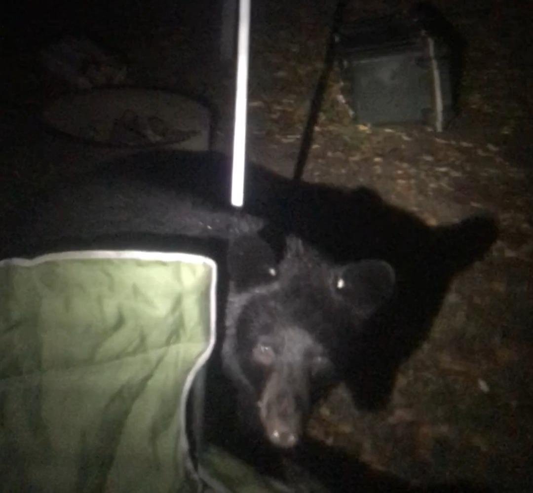 Pelican 70 Quart Elite Cooler customer photo 2