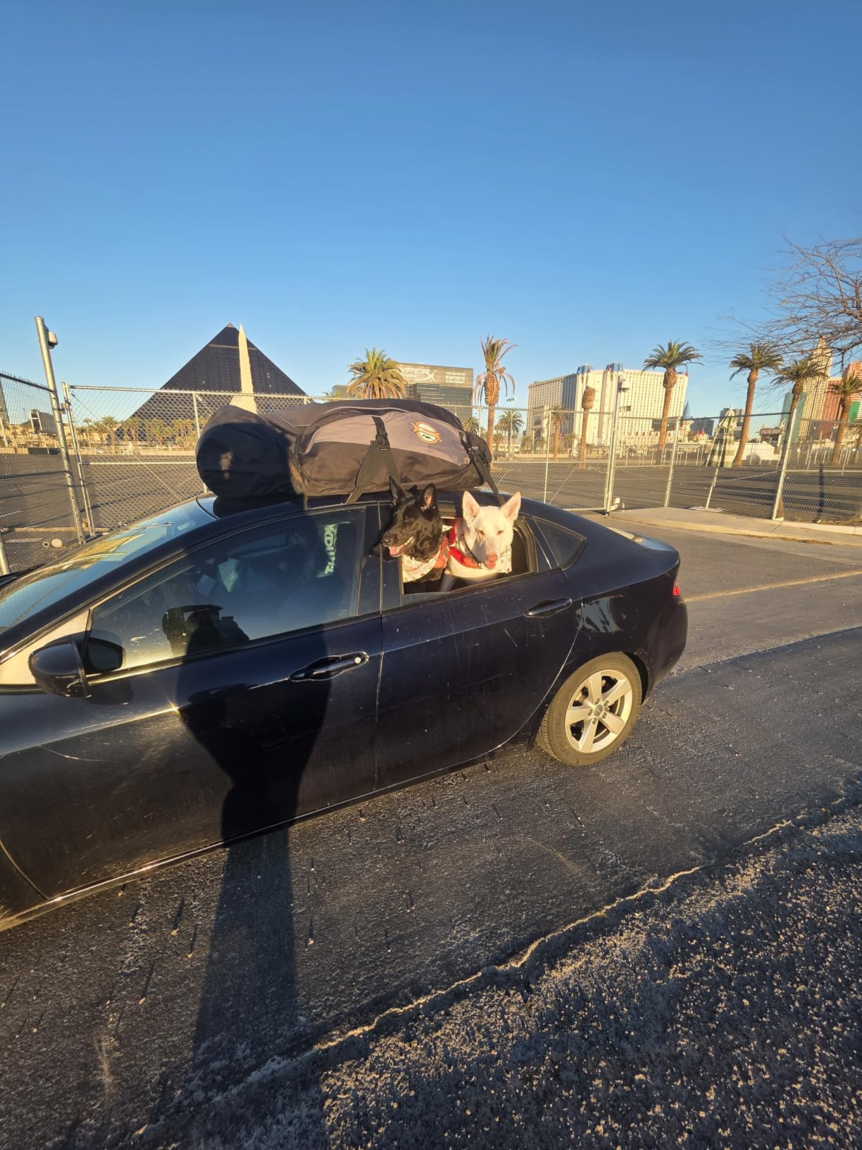 Sailnovo Rooftop Cargo Carrier Roof Bag, 20 Cubic feet Soft Waterproof Car Roof Bag fit Cars with/Without Rack, 6 Tie-Down Straps, 6 Door Hooks, Foldable Car Top Carrier for Road Trip Camping Travel customer photo 1