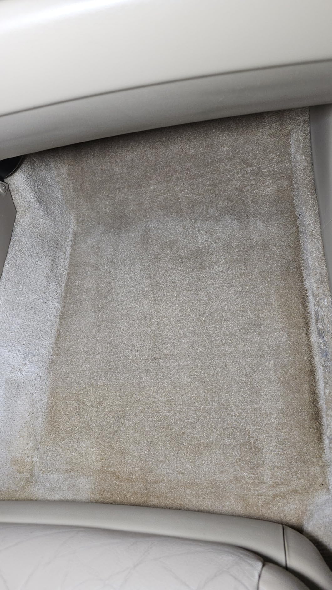 P & S PROFESSIONAL DETAIL PRODUCTS Terminator Enzyme Spot & Stain Remover - Professional Upholstery & Carpet Cleaner customer photo 1