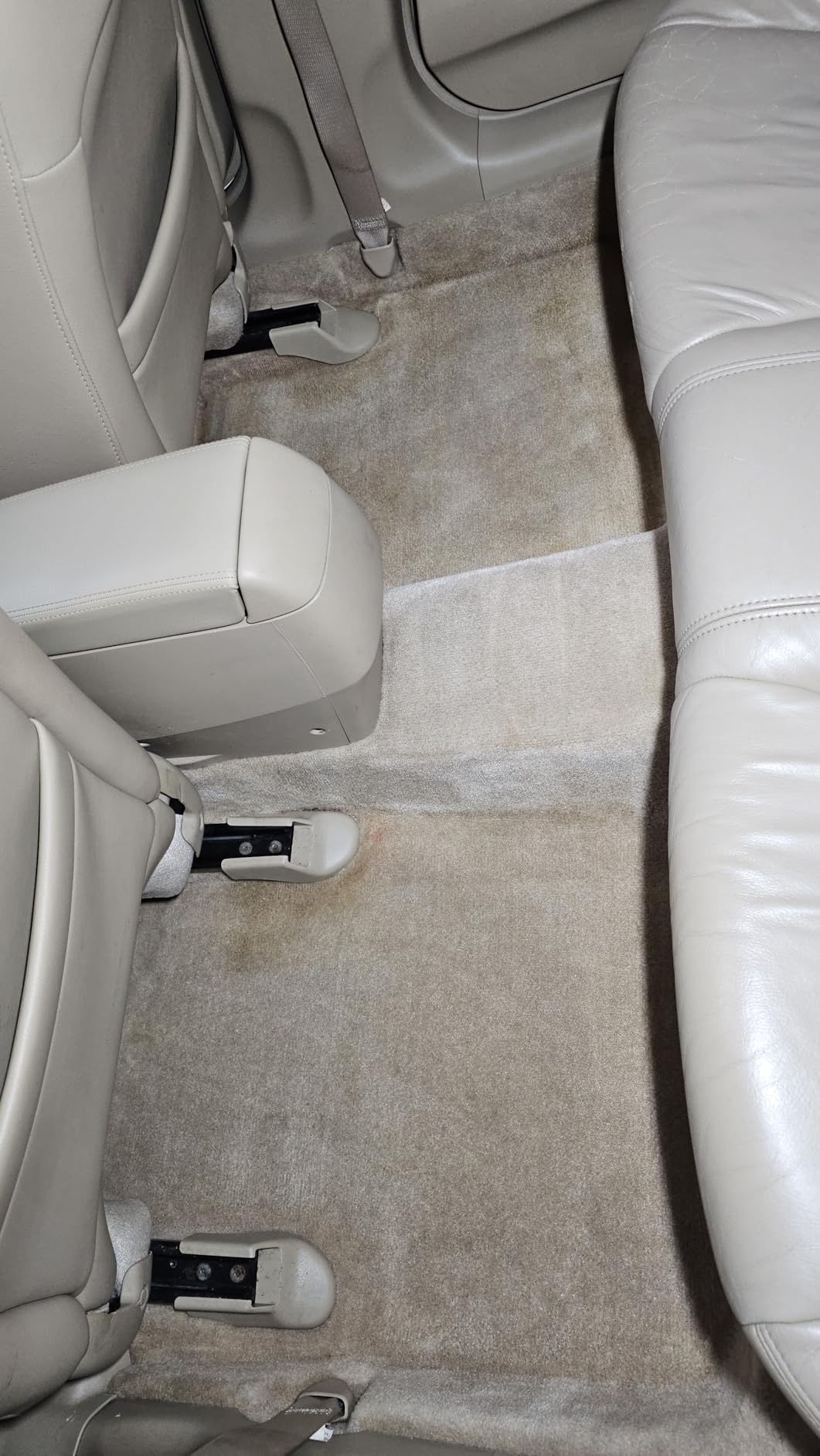 P & S PROFESSIONAL DETAIL PRODUCTS Terminator Enzyme Spot & Stain Remover - Professional Upholstery & Carpet Cleaner customer photo 2