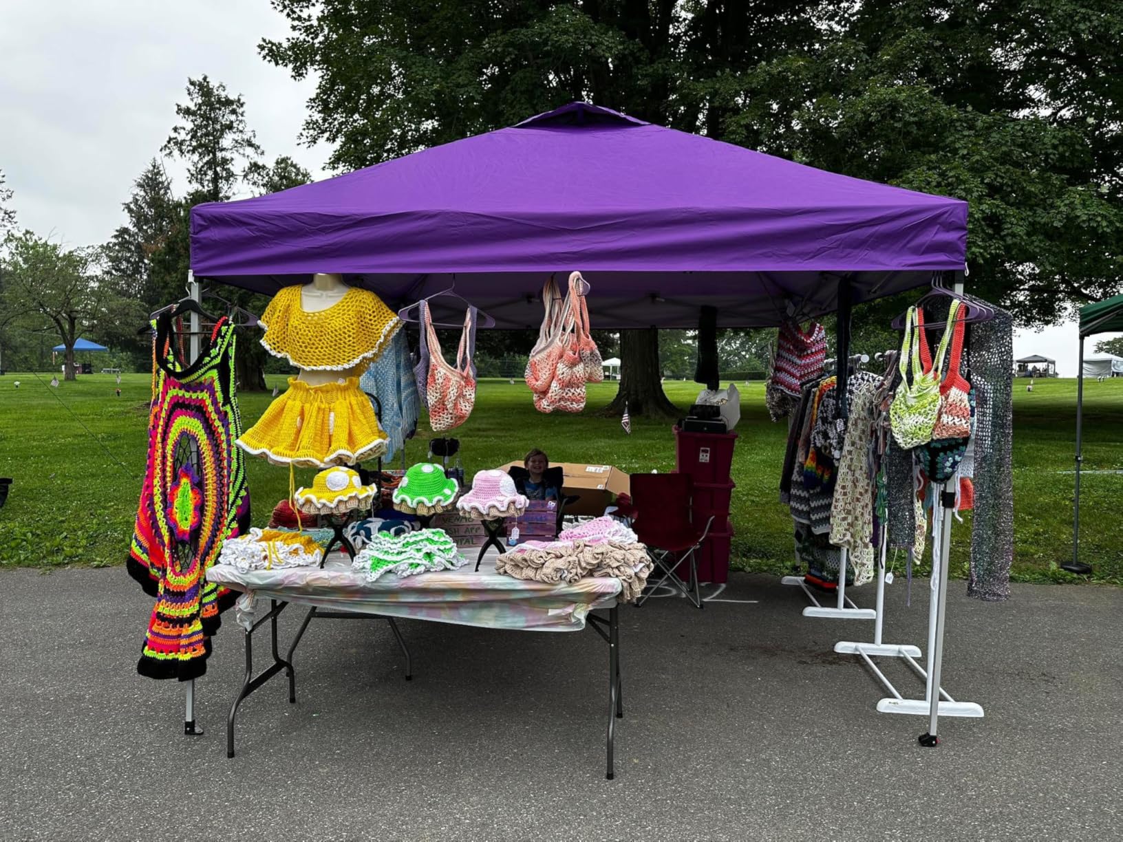 CROWN SHADES 10x10 Pop Up Canopy, Patented Center Lock One Push Tent Canopy, Newly Designed Storage Bag, 8 Stakes, 4 Ropes (10x10, White) customer photo 2