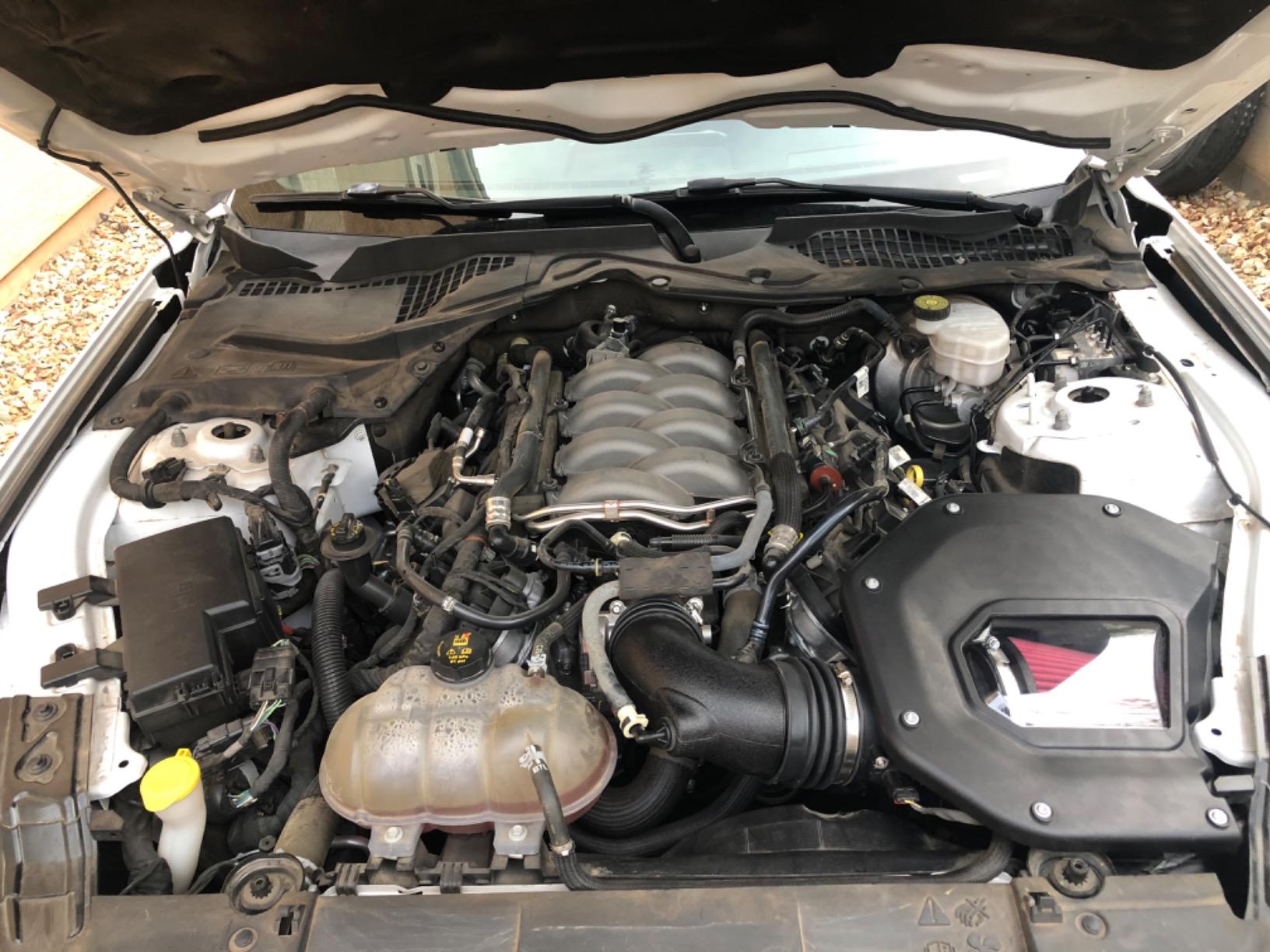 Roush 422086 Cold Air Intake System Kit for 2018-2021 Ford Mustang 5.0L V8 GT customer photo 2