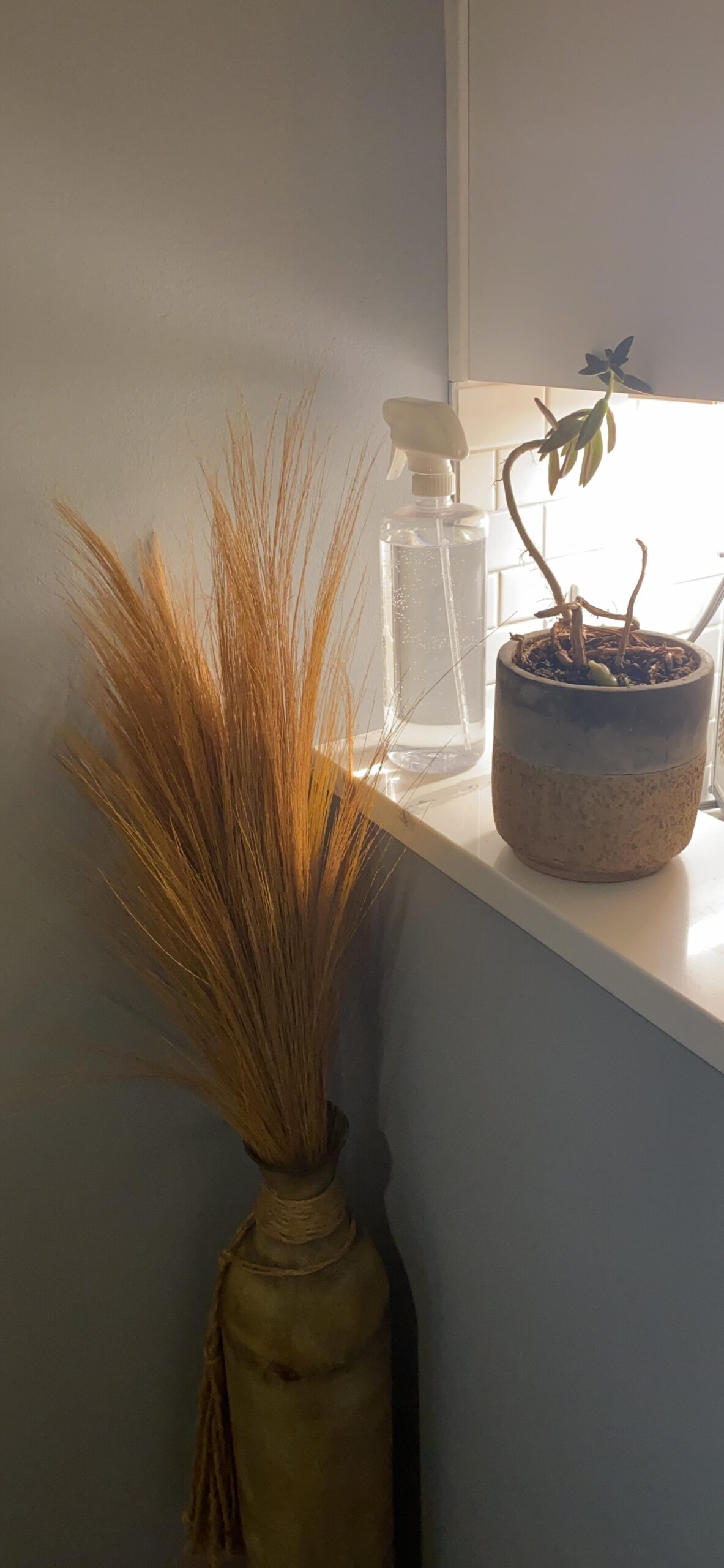 Bar5F Plastic Spray Bottles with Mixor Trigger, 32 oz | Professional, Leak Proof, Empty, Adjustable Fine to Powerful Sprayer, Refillable | Water Plants, Cleaning Solutions | Crystal Clear | Pack of 3 customer photo 1