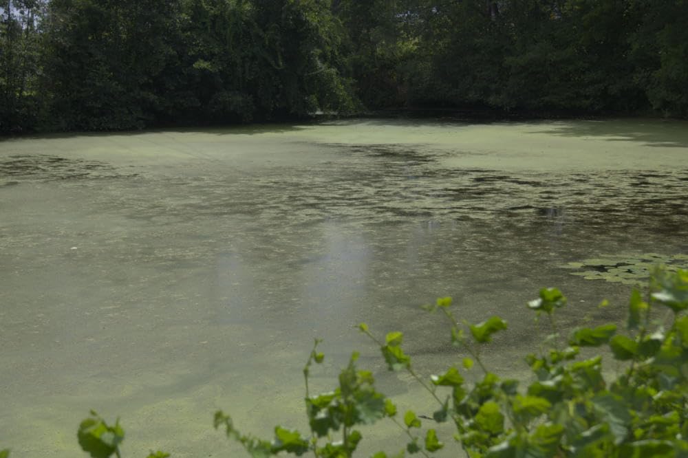 58mm Circular Polarizers Filter, K&F CONCEPT 58MM Circular Polarizer Filter HD 28 Layer Super Slim Multi-Coated CPL Lens Filter (Nano-X Series) customer photo 1