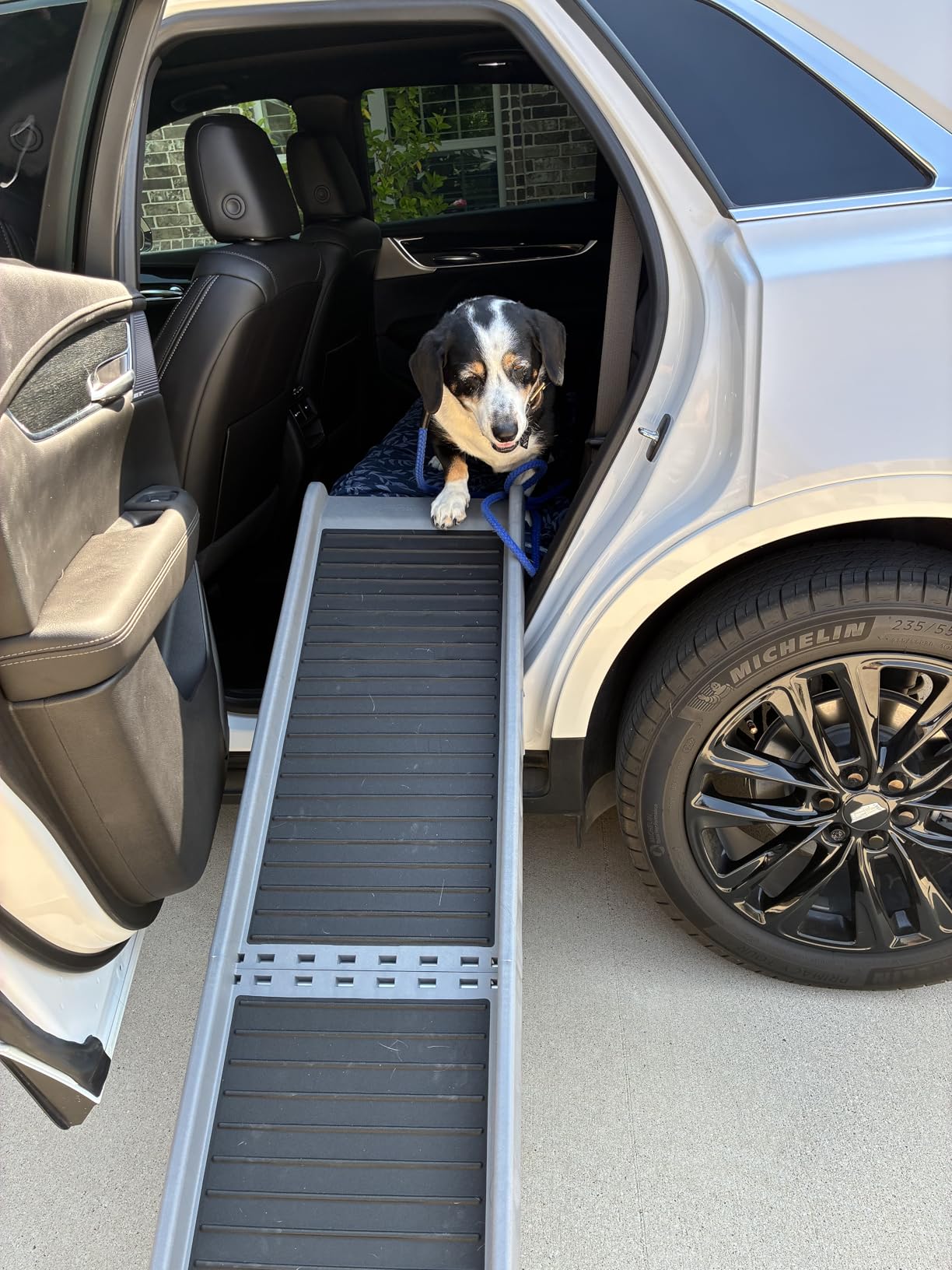 WeatherTech PetRamp - Non-Slip, Portable Dog Ramp for Large Dogs to 300 Pounds, 67