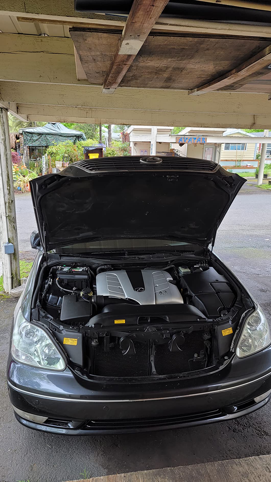 Adam's Polishes All Purpose Cleaner (16oz) - Professional Heavy Duty Industrial Cleaner & Degreaser | Cuts Heavy Grease & Tar | Car Detailing, Tire Cleaner, Engine Cleaner, Wheel Cleaner customer photo 2