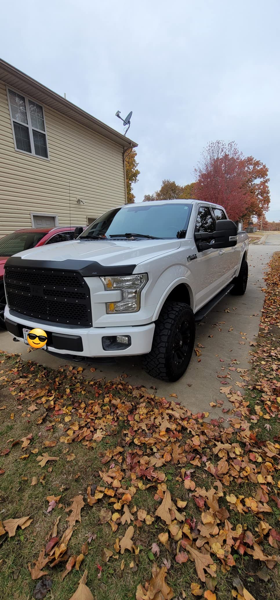 Rough Country Mesh Grille Insert for 2015-2017 Ford F-150 2WD/4WD - 70191 customer photo 1